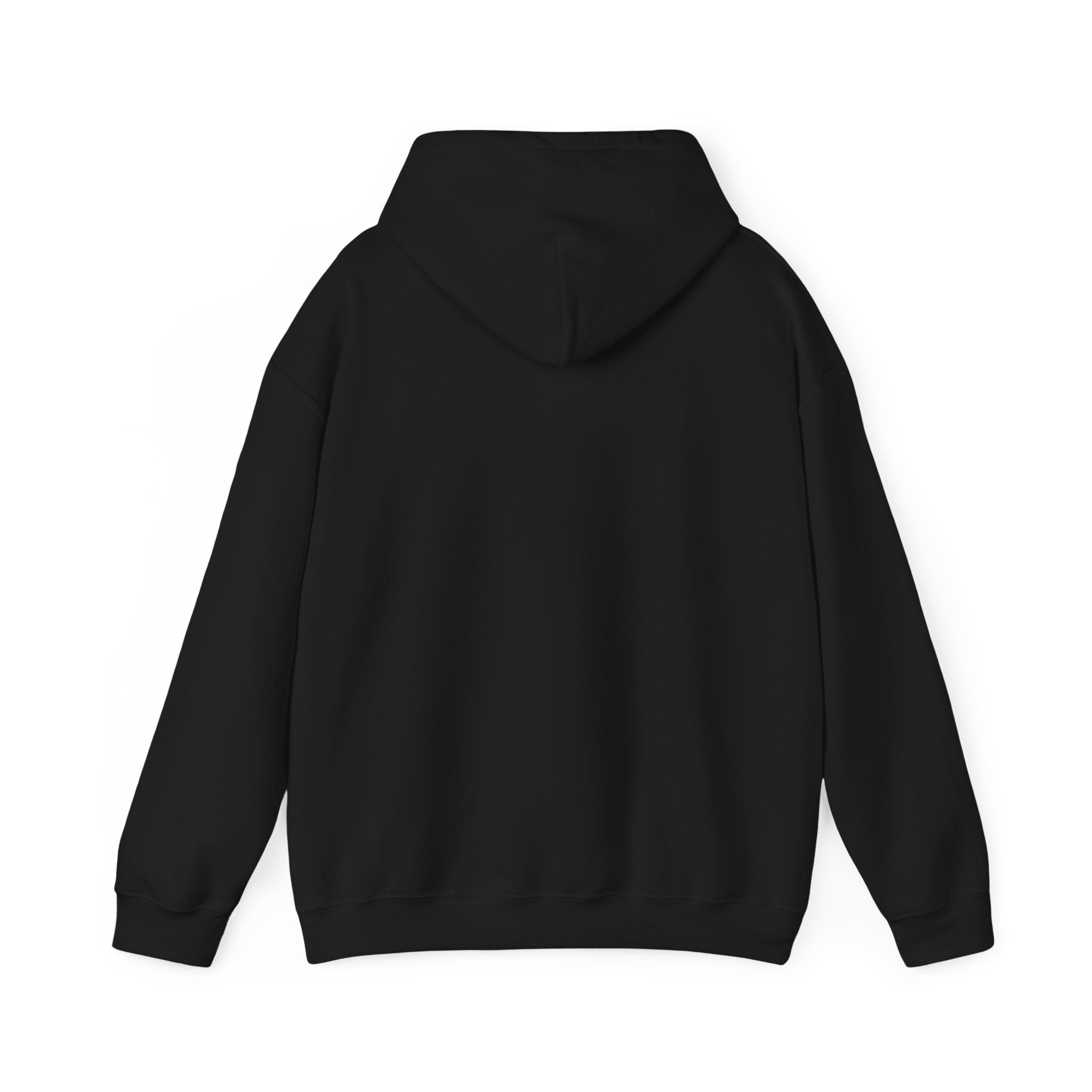 StreamerVids Hooded Sweatshirt with Social logos